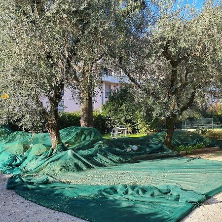 Le Peonie Apartment Riva del Garda Bagian luar foto