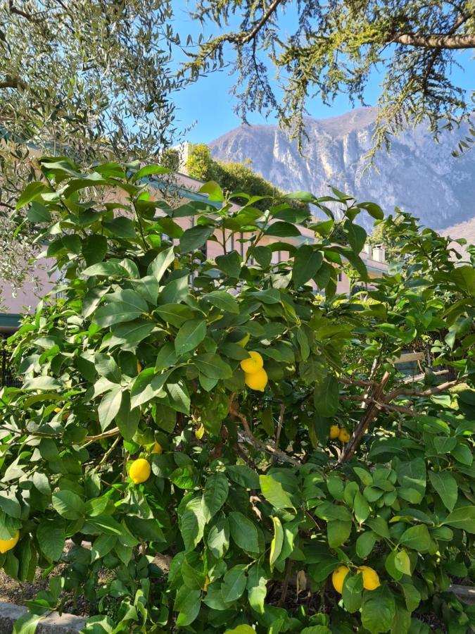 Le Peonie Apartment Riva del Garda Bagian luar foto