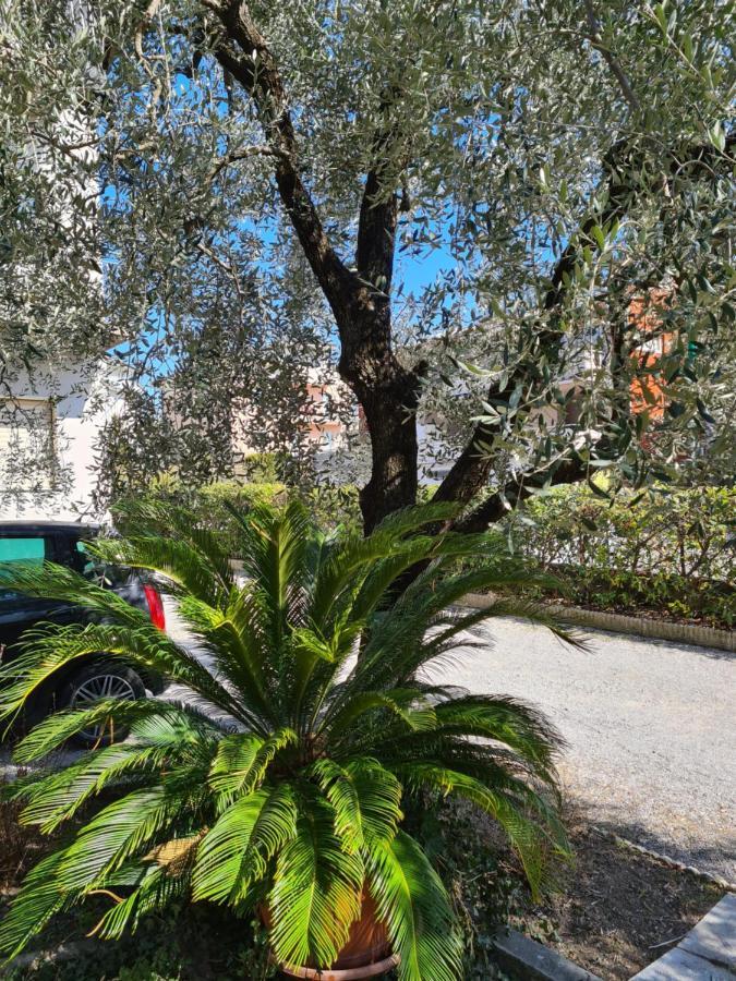 Le Peonie Apartment Riva del Garda Bagian luar foto