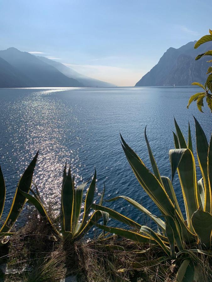 Le Peonie Apartment Riva del Garda Bagian luar foto