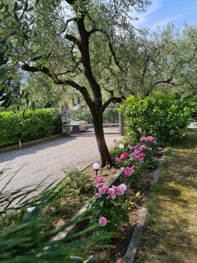 Le Peonie Apartment Riva del Garda Bagian luar foto