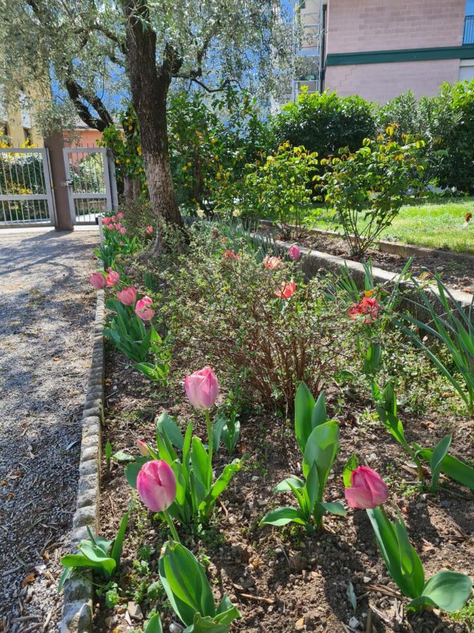 Le Peonie Apartment Riva del Garda Bagian luar foto